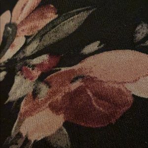 Meet your Posher, Tazzy